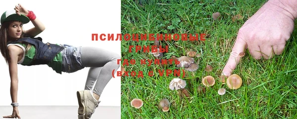 крисы Алексеевка